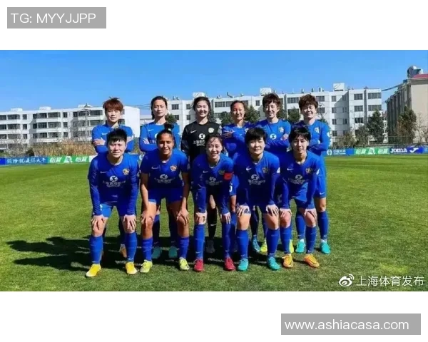 武汉足球队崛起之路：从默默无闻到钻石联赛的璀璨之星